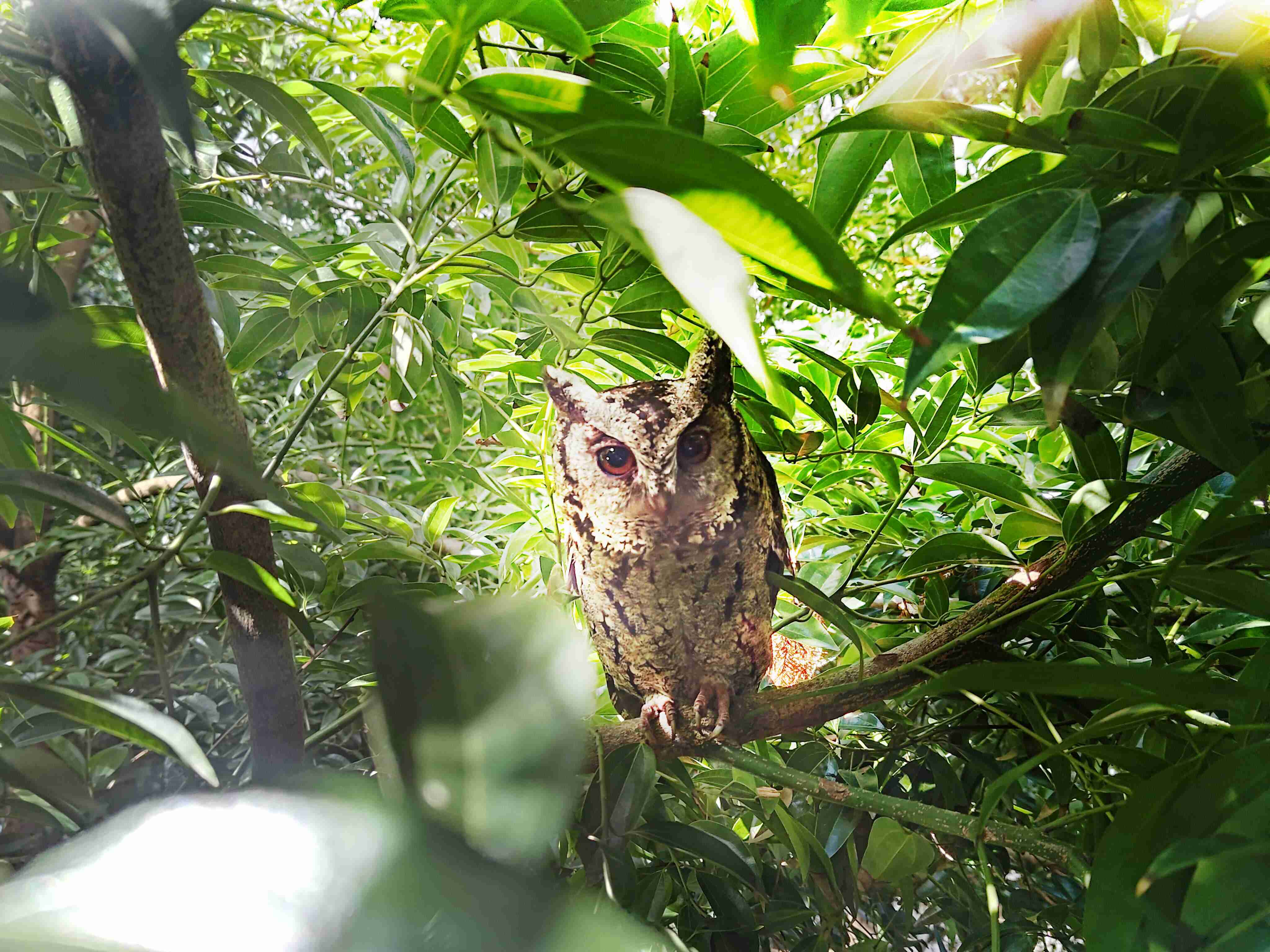 冰球突破致力提倡净零绿生活，，，，16年以来在全球各厂区植树逾百万棵，，造就各厂区树木蔚然成林，，犹如森林工厂，，成为许多生物的栖息地